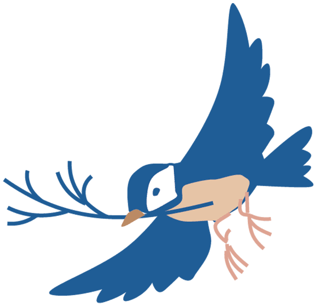 Symbolisch: Vogel bringt Zweig für Nest - Lucia Martin, Hebamme in Zürich